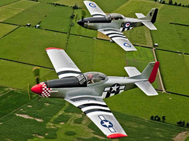 T-51 Mustang - Photo #2