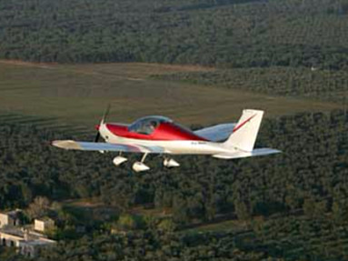 Sparviero Sparviero