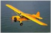 MicroWings MicroWings
