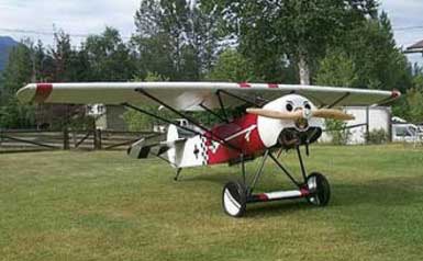 Fokker D-VIII Ultralight / Experimental - Photo #1