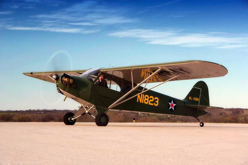 Legend Cub AL3C-100 - Photo #2