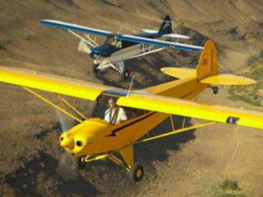 CC11-100 Sport Cub