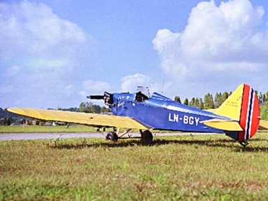 Bowers Fly Baby - Photo #3
