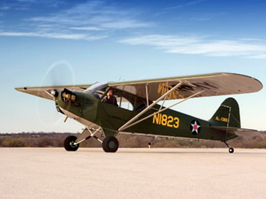 Legend Cub AL3C-100 - Photo #2