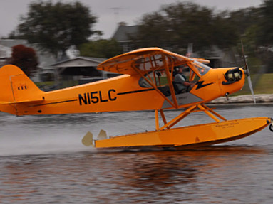 Legend Cub AL3C-100 - Photo #1