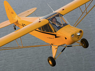 Legend Cub AL3C-100 - Photo #3