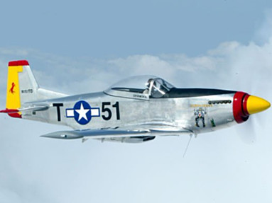 T-51 Mustang - Photo #1