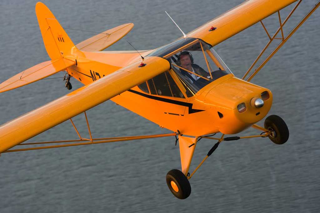 Legend Cub AL3C-100 - Photo #3