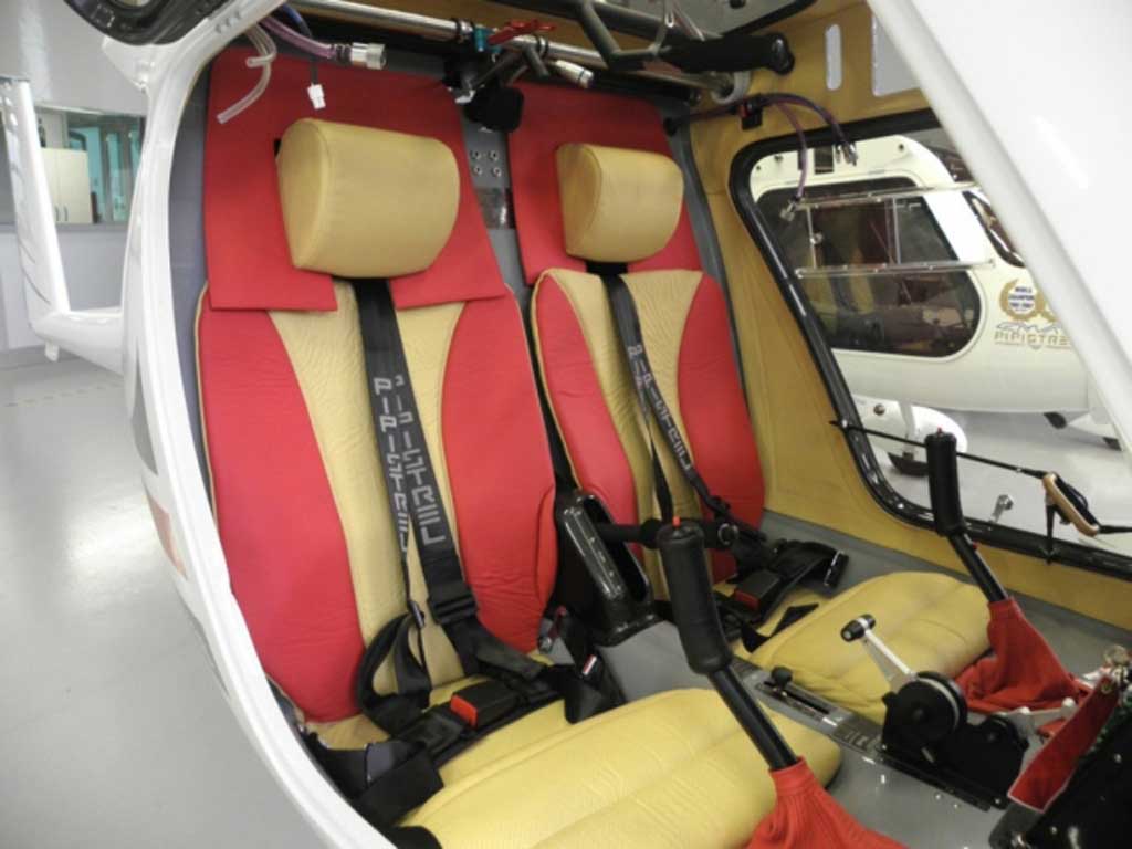 Pipistrel Sinus 912 - Photo #3