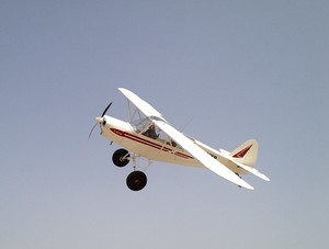 Zlin Savage Cub - Photo #3